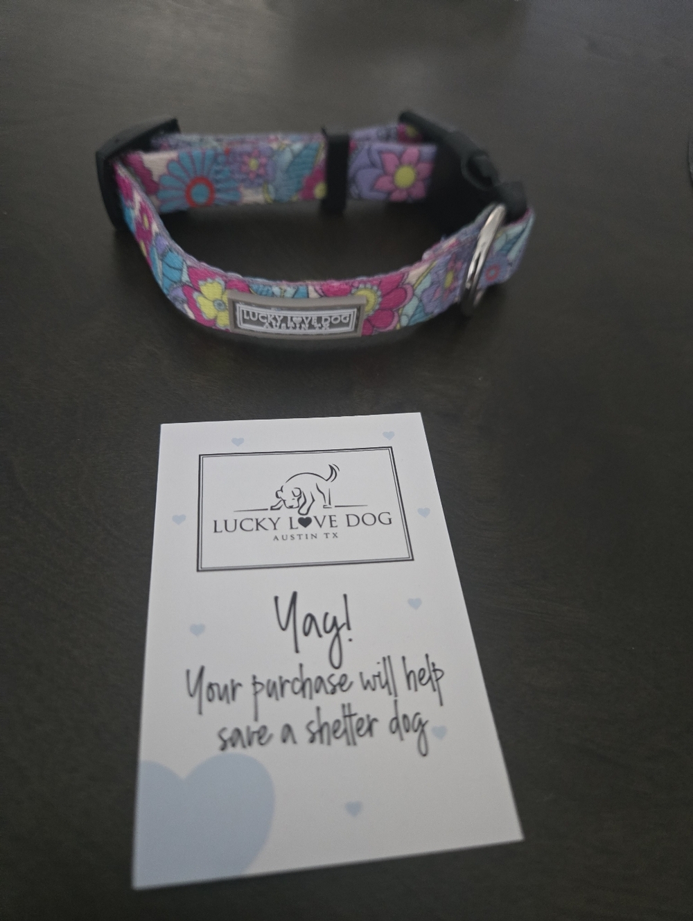 Lucky Love Dog Caroline XS Dog Collar.
